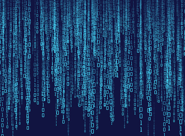 Programming & Web Development